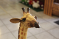 Preview: Giraffe, liegend